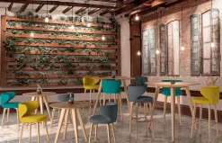 Silla de comedor Viña de Almosa